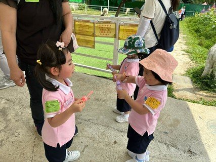 Picnic Day