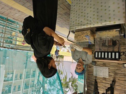 School open day