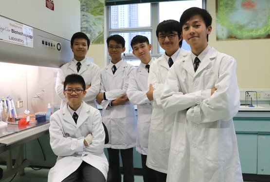 研發痛風新療法與「吸金」細菌 